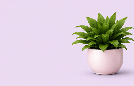 Affordable Finds That Make Everyday Living Easier